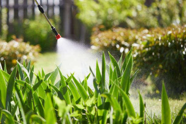 Tamper-Resistant Bait Stations for Rodents in Parkston