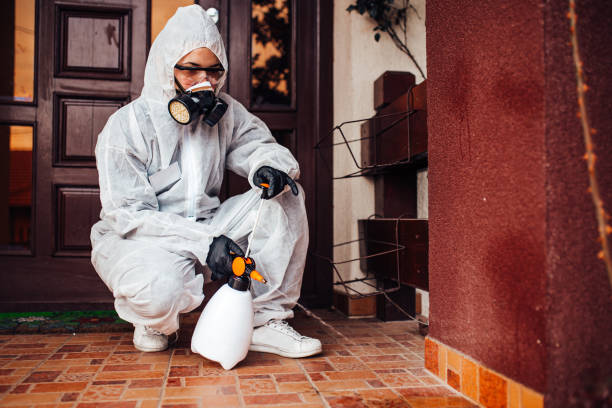 Attic and Crawl Space Rodent Treatment in Parkston
