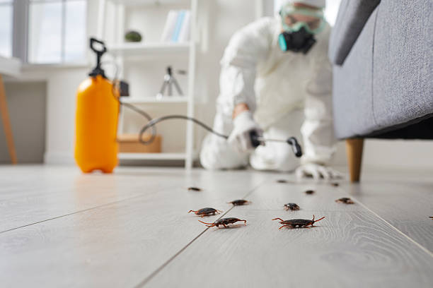 Commercial Rodent Management in Parkston
